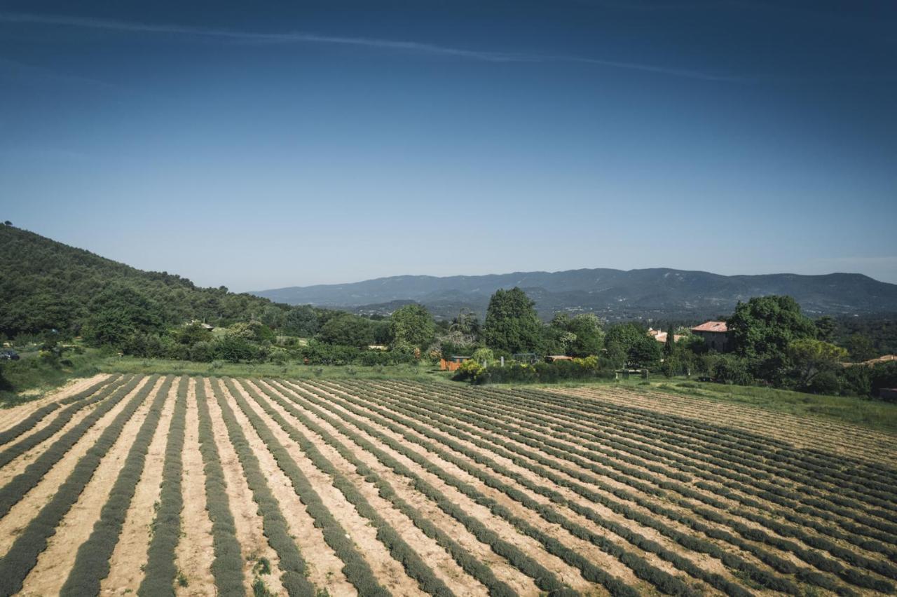 Studio Sud Luberon Grambois Luaran gambar