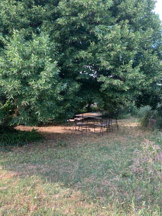 Studio Sud Luberon Grambois Luaran gambar