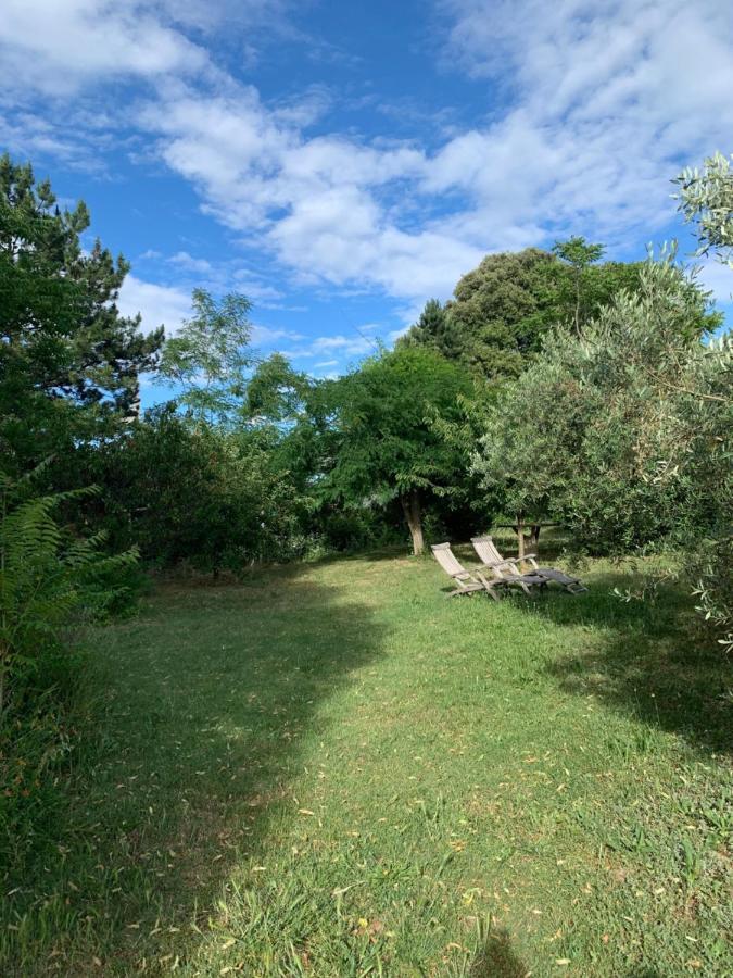 Studio Sud Luberon Grambois Luaran gambar